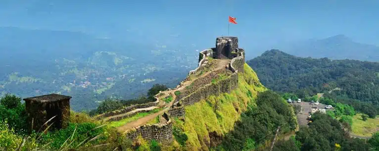 Top Guided Tours in India – Explore the country with expert insights