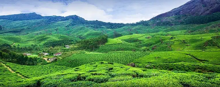 India private luxury tours: Tailored with perfection