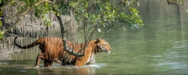 Top Guided Tours in India – Explore the country with expert insights