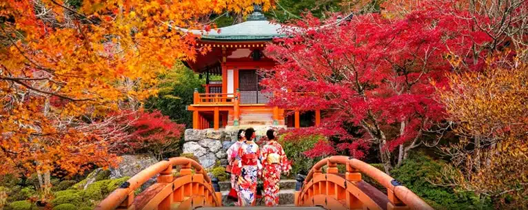 Japan tour packages from Kolkata – Best deals, itinerary & travel tips