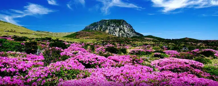 25 best countries to honeymoon – romantic escapes for every couple