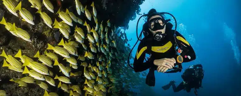 10 Best scuba diving destinations
