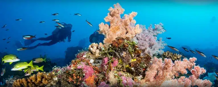 Best time to visit Seychelles