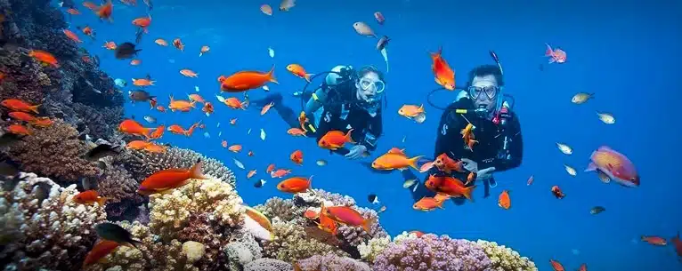 10 Best scuba diving destinations