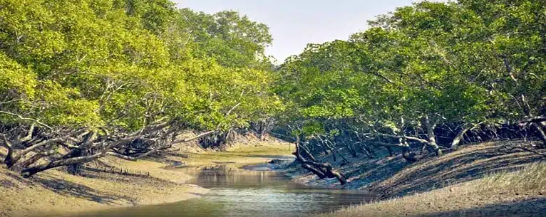 National Parks in India: A comprehensive guide