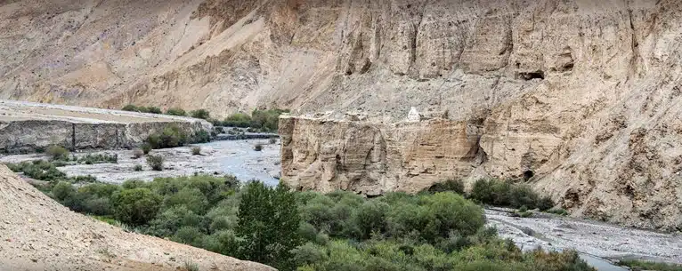 National Parks in India: A comprehensive guide