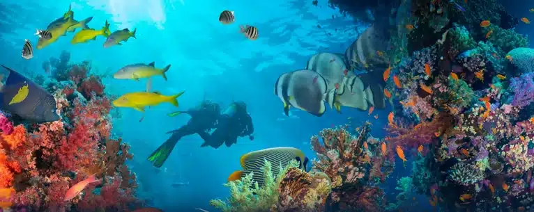 10 Best scuba diving destinations