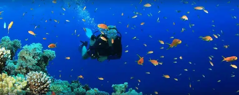 10 Best scuba diving destinations
