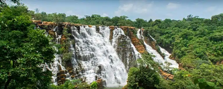 National Parks in India: A comprehensive guide