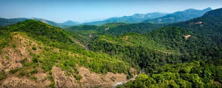 National Parks in India: A comprehensive guide