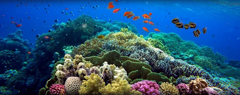 Islands in Zanzibar: Marine magic and luxury redefined!  