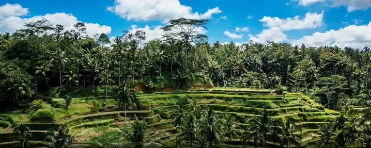 Best countries to visit in February