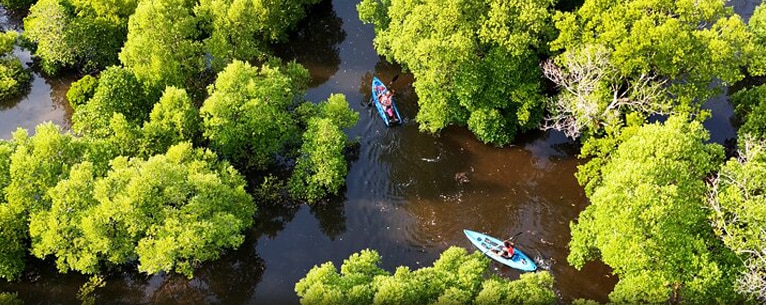Islands in Zanzibar: Marine magic and luxury redefined!  