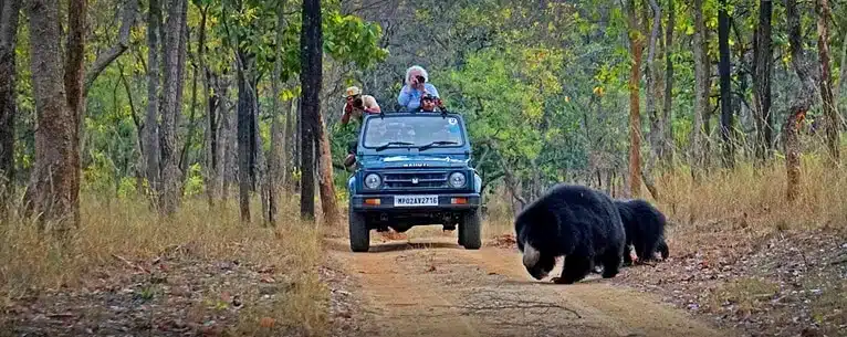 Tiger Reserves in India: Every detail you need to know