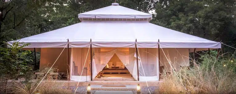 Tiger Reserves in India: Every detail you need to know