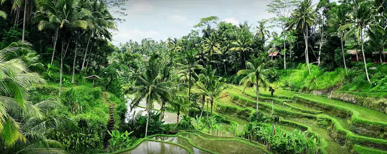 Off-season in Bali: Is it the best time to visit?