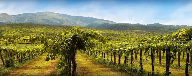 Best places to visit in January