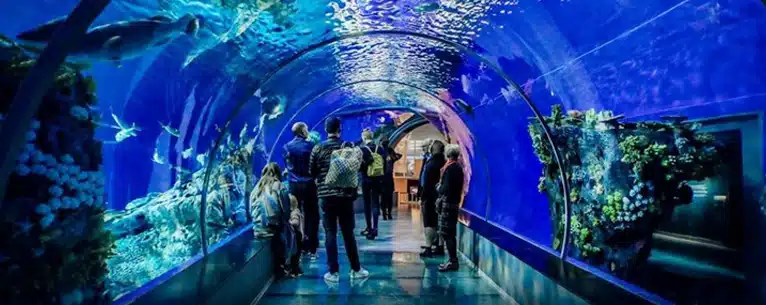 Best places to travel with family