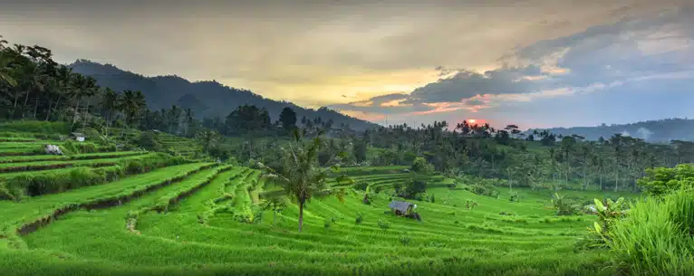 Off-season in Bali: Is it the best time to visit?