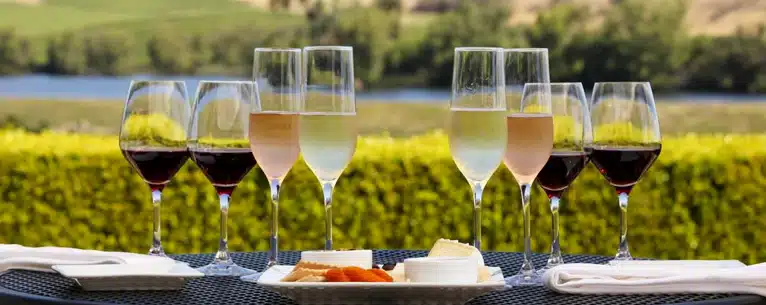 Wine tasting tours: Sip, savour & explore
