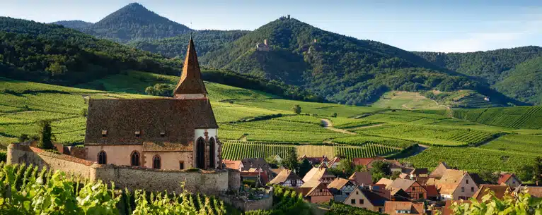 Wine tasting tours: Sip, savour & explore