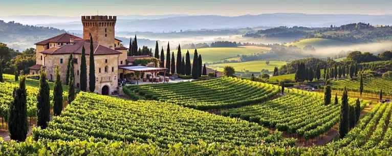 Wine tasting tours: Sip, savour & explore