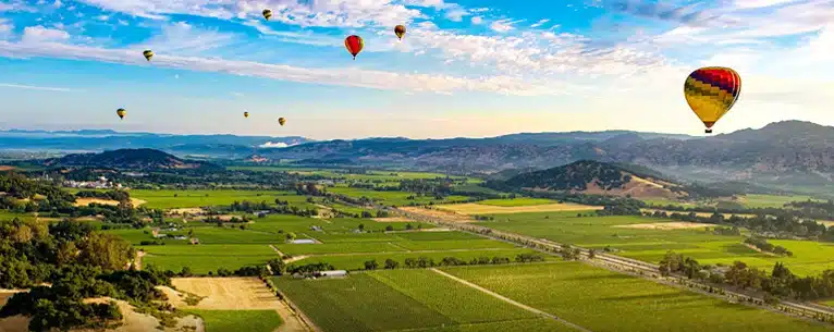 Wine tasting tours: Sip, savour & explore