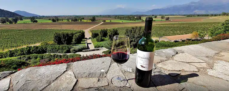 Wine tasting tours: Sip, savour & explore