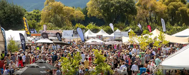 Wine tasting tours: Sip, savour & explore