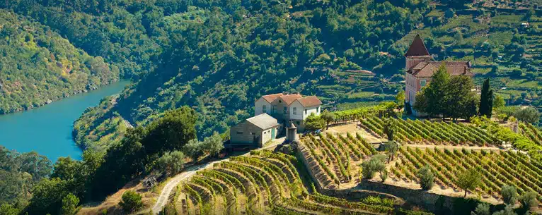 Wine tasting tours: Sip, savour & explore