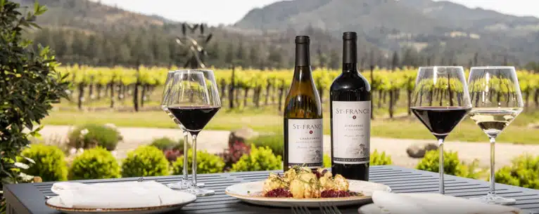 Wine tasting tours: Sip, savour & explore