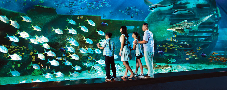 Singapore Sentosa Island tour: The ultimate island experience in Singapore
