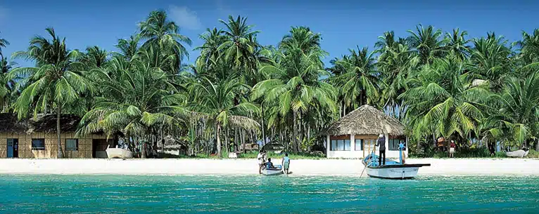 Best Resorts in Lakshadweep Island: Where to stay for the perfect tropical escape