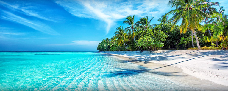 Best Resorts in Lakshadweep Island: Where to stay for the perfect tropical escape