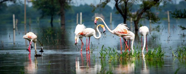 Top 10 heritage monuments of India: A guide to the country’s most famous historical sites