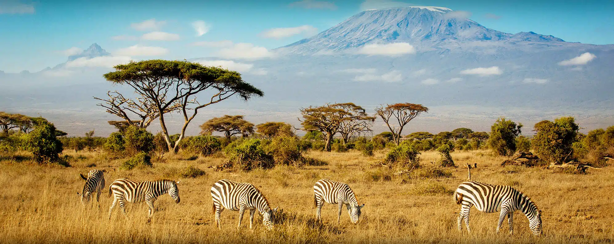 Kenya tour Packages from Kolkata
