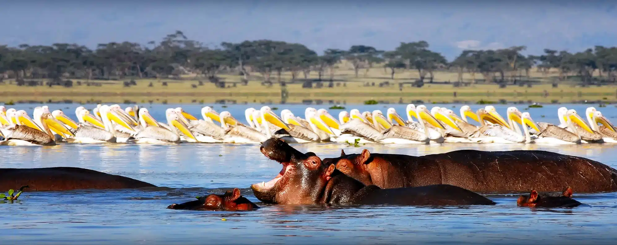 Kenya tour Packages from Kolkata