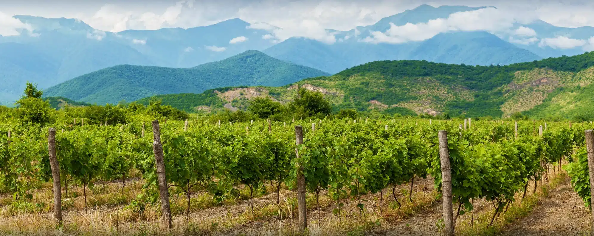 Kakheti