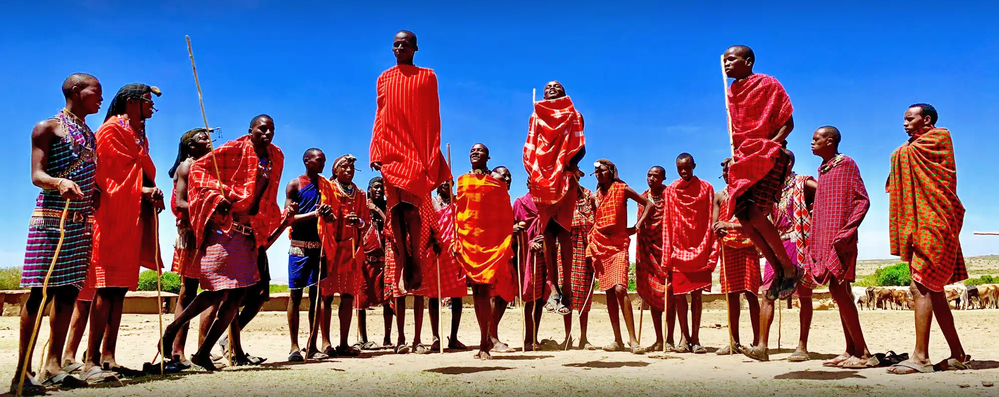 Masai Mara Tour Packages from Kolkata