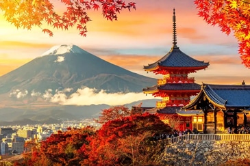 IMPERIAL JAPAN EXPERIENCE