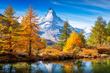 Festival Holiday Packages