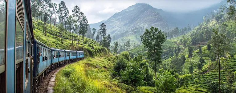 Sri Lanka tour